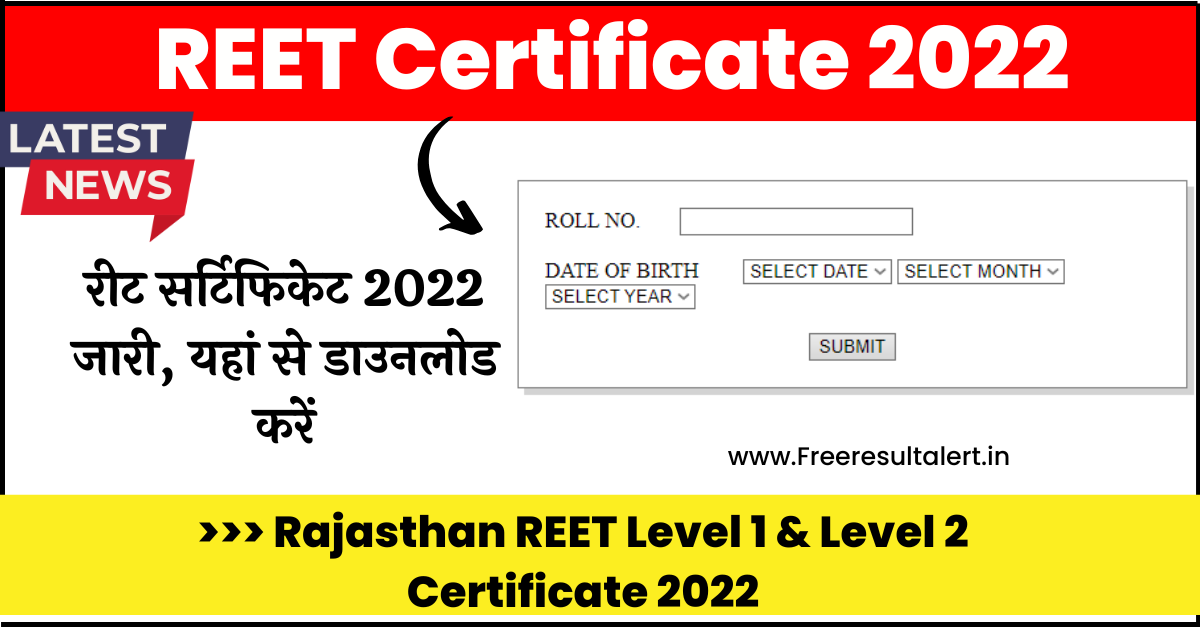 REET Certificate 2022 